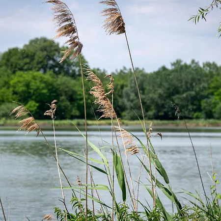 Vizituender Pihenopark *